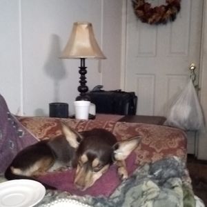 Meet your Posher, Eddie